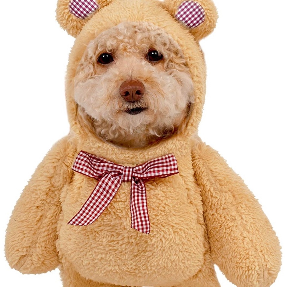 🎉🎉HP🎉🎉Walking Teddy Bear Dog Costume XS 🧸 🐶